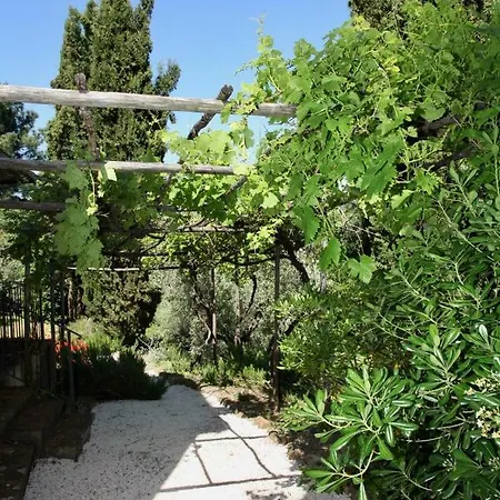 Podere Uccelliera Casa vacanze