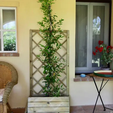 Casa vacanze Podere Uccelliera Castagneto Carducci